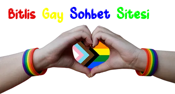 Bitlis Gay Sohbet