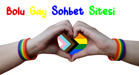 Bolu Gay Sohbet